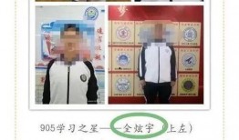 北大爆料大全视频,揭秘校园风云与真实故事